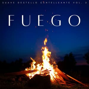Fuego: Suave Destello Centelleante Vol. 2 - Grabaciones meteorológicas y de la naturaleza