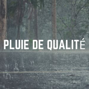 Pluie de Qualité - Hi-Def FX