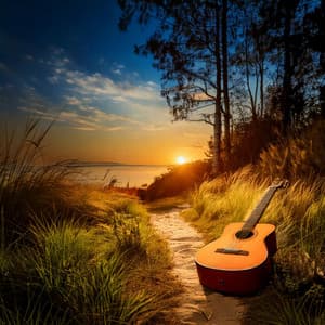 Guitar Music: A Path to Peaceful Sleep - Cicci Guitar Condor
