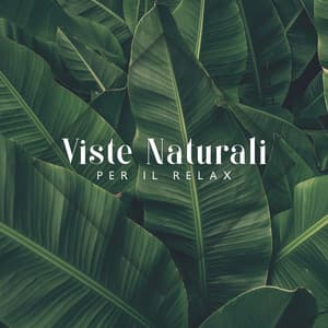 Viste Naturali per Il Relax: Suoni della Natura Sereni e Rilassanti - Suoni naturali zen