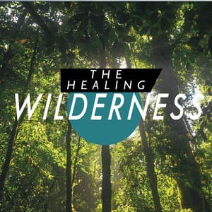 The Healing Wilderness - The Healing Sounds of Nature