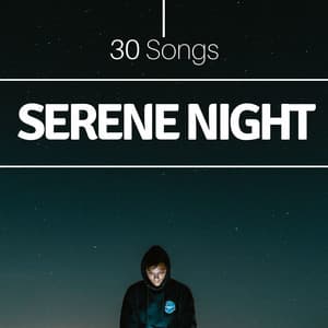 Serene Night 30 Songs: Relaxation, Stress Reduction, Meditation - Asian Silence Duo