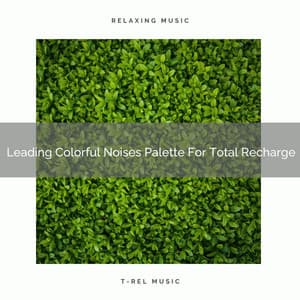 Leading Colorful Noises Palette For Total Recharge - Baby Rain Sleep Sounds / Brown Noise Therapy