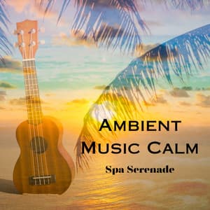 Ambient Music Calm: Spa Serenade - Miracle of Silence