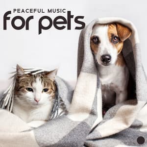Peaceful Music for Pets - Background Music Collection