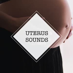 Uterus Sounds - Uterus Sounds