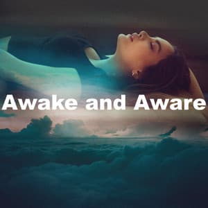 Awake and Aware - Womb Sound