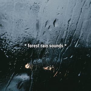 * forest rain sounds * - Sound Effects Library