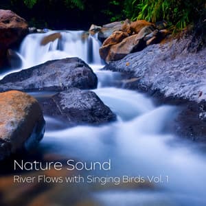 Nature Sound: River Flows with Singing Birds Vol. 1 - Relaxing Atmospheres