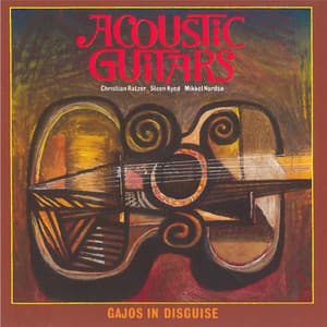 Acoustic Guitars - Gajos in Disguise - Christian Ratzer