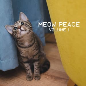 Meow Peace, Vol. 1 - Cat Music
