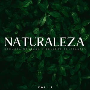 Naturaleza: Hermosa Montaña Y Sonidos Relajantes Vol. 1 - Naturaleza del norte