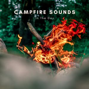 Campfire Sounds In The Day - Natural Sounds Selections