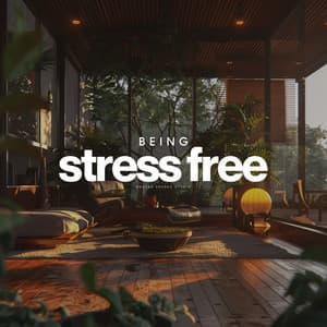 Being Stress Free - Buddhist Thai Monks