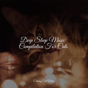 Deep Sleep Music Compilation For Cats - Official Pet Care Collection