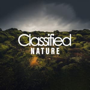 Classified Nature - Rain Sounds & White Noise