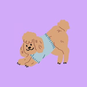 Music for Calming Dog Days - Calming Jazz For Dogs