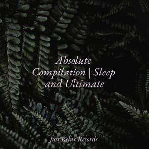 Absolute Compilation | Sleep and Ultimate - Meditation Relaxation Club