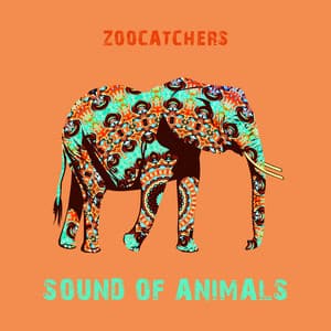 Sound of Animals - Zoocatchers