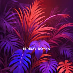 Ibiza House - Jeremy Boyka