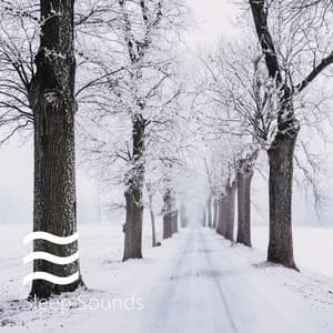 Womb Sounds Cradle Winter Collection - Womb Sounds Heartbeat