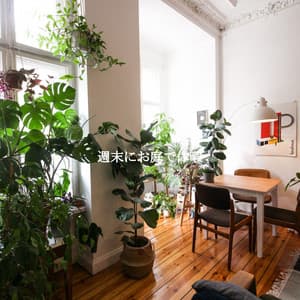 週末にお庭で休暇 - Coffee Table Jazz Radio