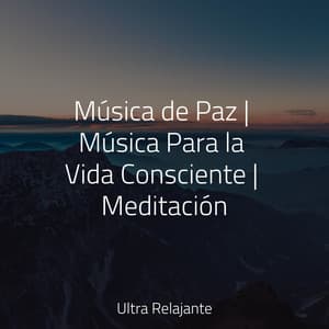 Música de Paz | Música Para la Vida Consciente | Meditación - Musica Para Relajarse