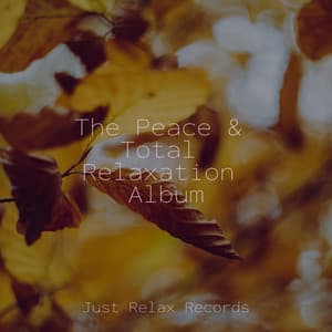 The Peace & Total Relaxation Album - Musica para Meditar