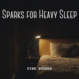 Fire Sounds: Sparks for Heavy Sleep - Fire Sounds For Sleep