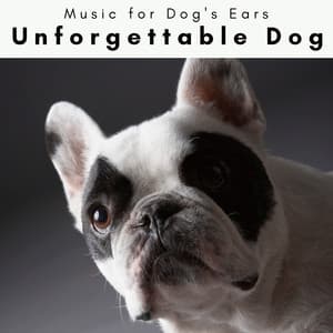 1 Unforgettable Dog - Music for Dog's Ears
