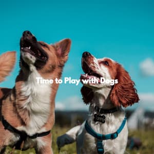 Time to Play with Dogs - Relaxing Guitar