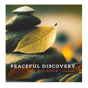 Peaceful Discovery - Zen Balance