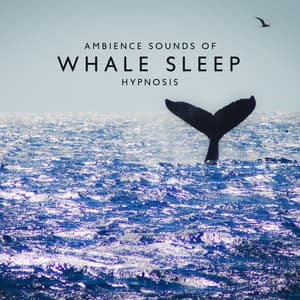 Ambience Music with Peaceful Sounds of Whale for Sleep Hypnosis - Hypnosis Nature Sounds Universe