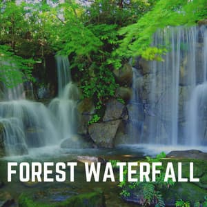 Forest Waterfall - Waterfall Sounds
