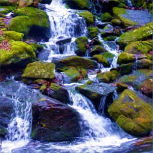 Peaceful Dream Stream - Mindfulness Oefeningen