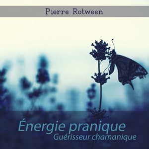 Énergie pranique: Guérisseur chamanique, Aperçu du mantra, Yoga ashtanga - Pierre Rotween