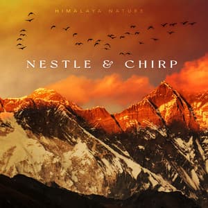 Nestle & Chirp - Himalaya Nature