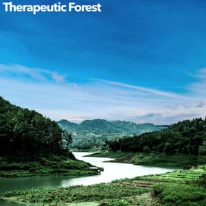 Therapeutic Forest - Forest Soundscapes
