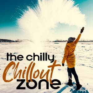 Winter Wonderland: The Chilly Chillout Zone - Top 40