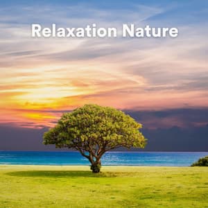 Relaxation Nature - Zen Ambiance D'eau Calme