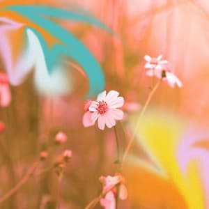 Music for Noteworthy Events - Soft Jazz Band