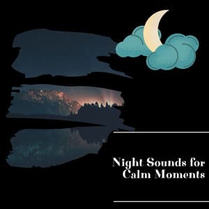 Night Sounds for Calm Moments - Night Nature Sounds