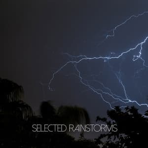 Selected Rainstorms - A Sudden Rainstorm