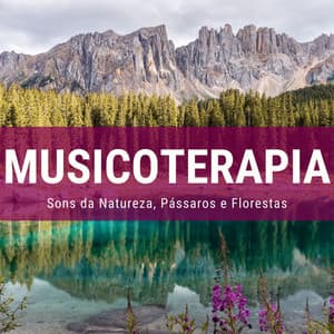 Musicoterapia 2019: Música Relaxante com Sons da Natureza, Pássaros e Florestas - Chakra Música Cura
