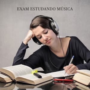 Exam Studying Music: Songs for Effective Studying, Brain Concentration & Focus - Study Music Club