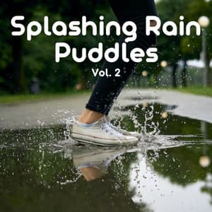 Splashing Rain Puddles Vol. 2 - Recorder Rain