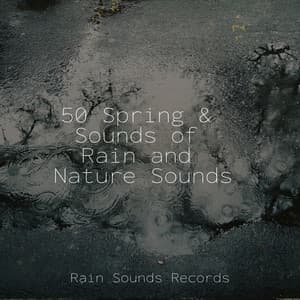 50 Spring & Sounds of Rain and Nature Sounds - Sons da natureza HD