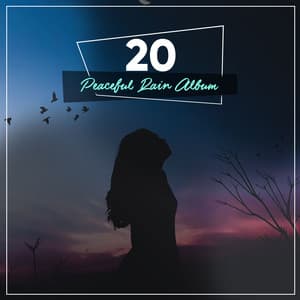 11 Chilled Rain Sounds to Unwind & Relax - Ambient Nature White Noise