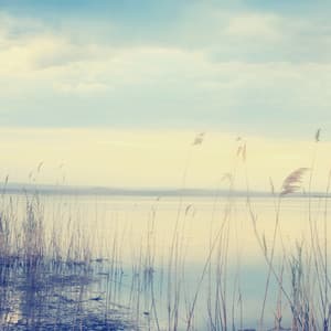 Meditation Waves: River of Mindfulness - Meditation Bliss