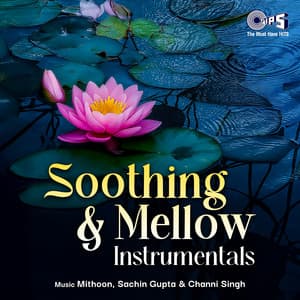 Soothing & Mellow - Mithoon